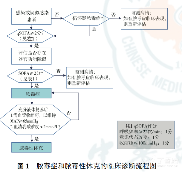 脓毒症和脓毒性休克的临床诊断流程图