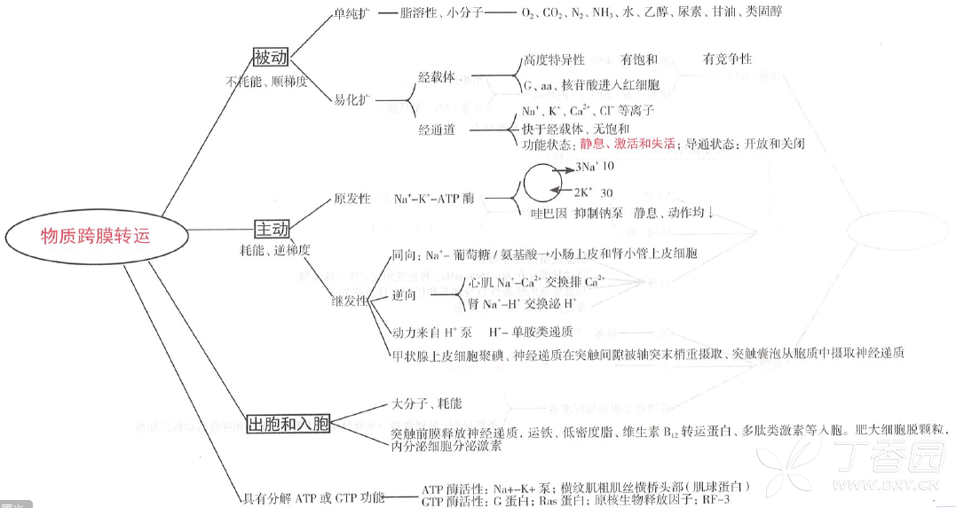 超牛的西医综合思维导图—重新更新