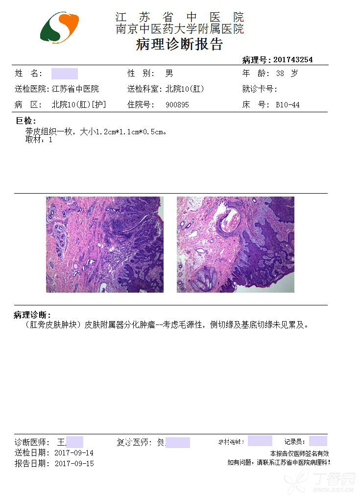 术后病理报告为:(肛旁皮肤肿块)皮肤附属器分化肿瘤--考虑毛源性