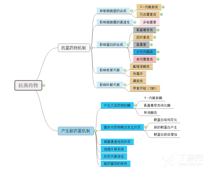 《血液》思维导图,作者@辰