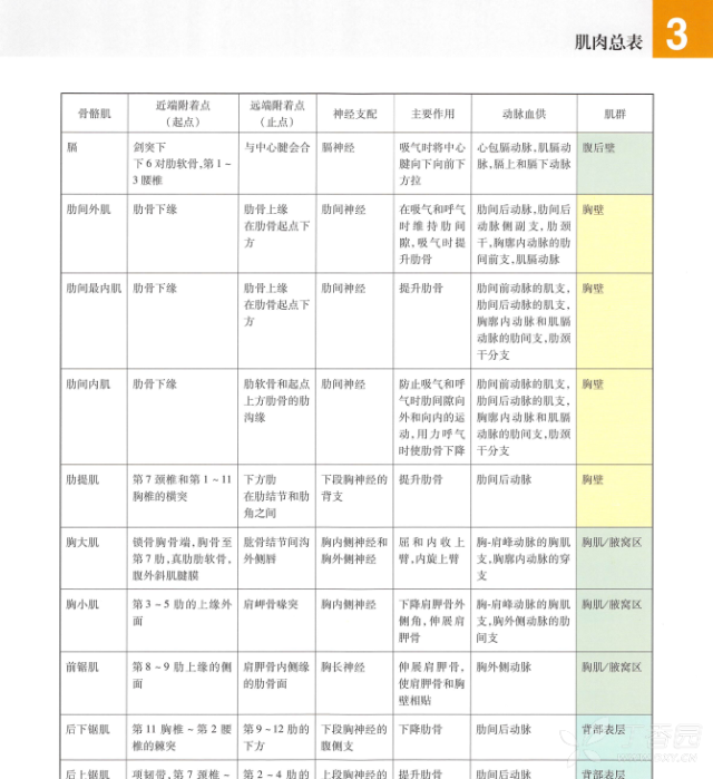 奈特人体解剖学彩色图谱中文版（中英文对照）第6版