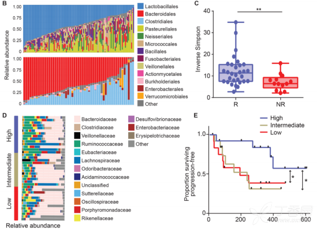 Science:你的微生物调节抗肿瘤治疗 - 生物信息