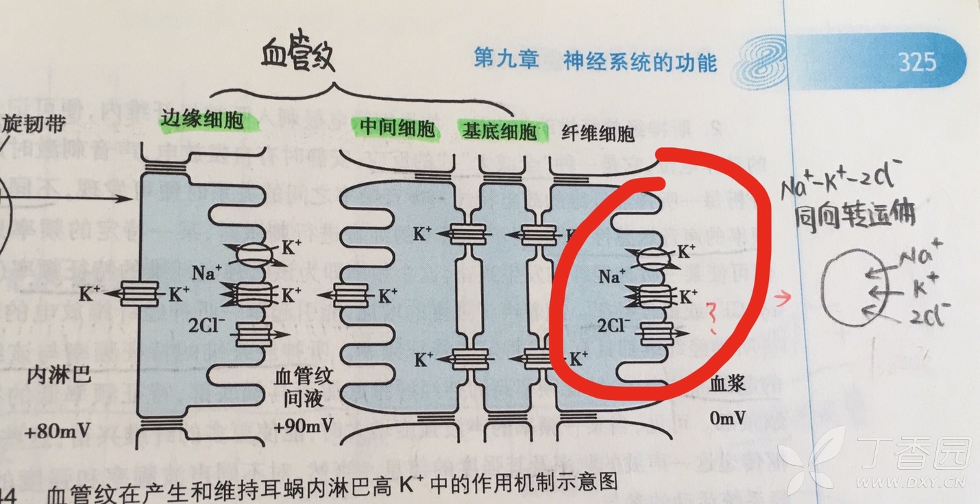 同向转运图片