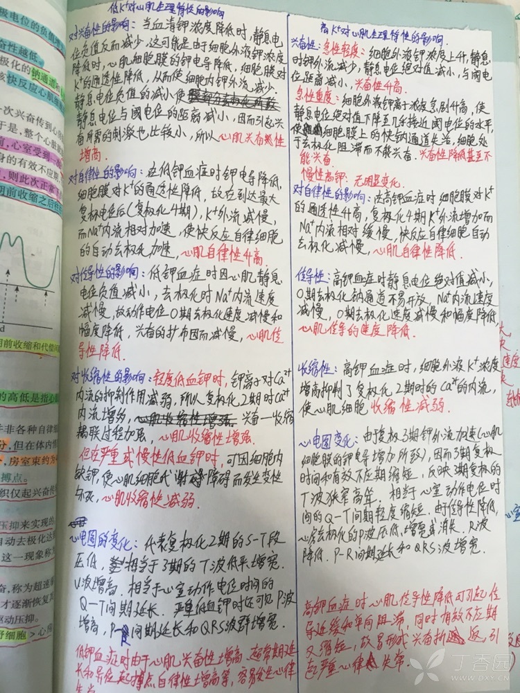 3270628618984429249-16w.jpg