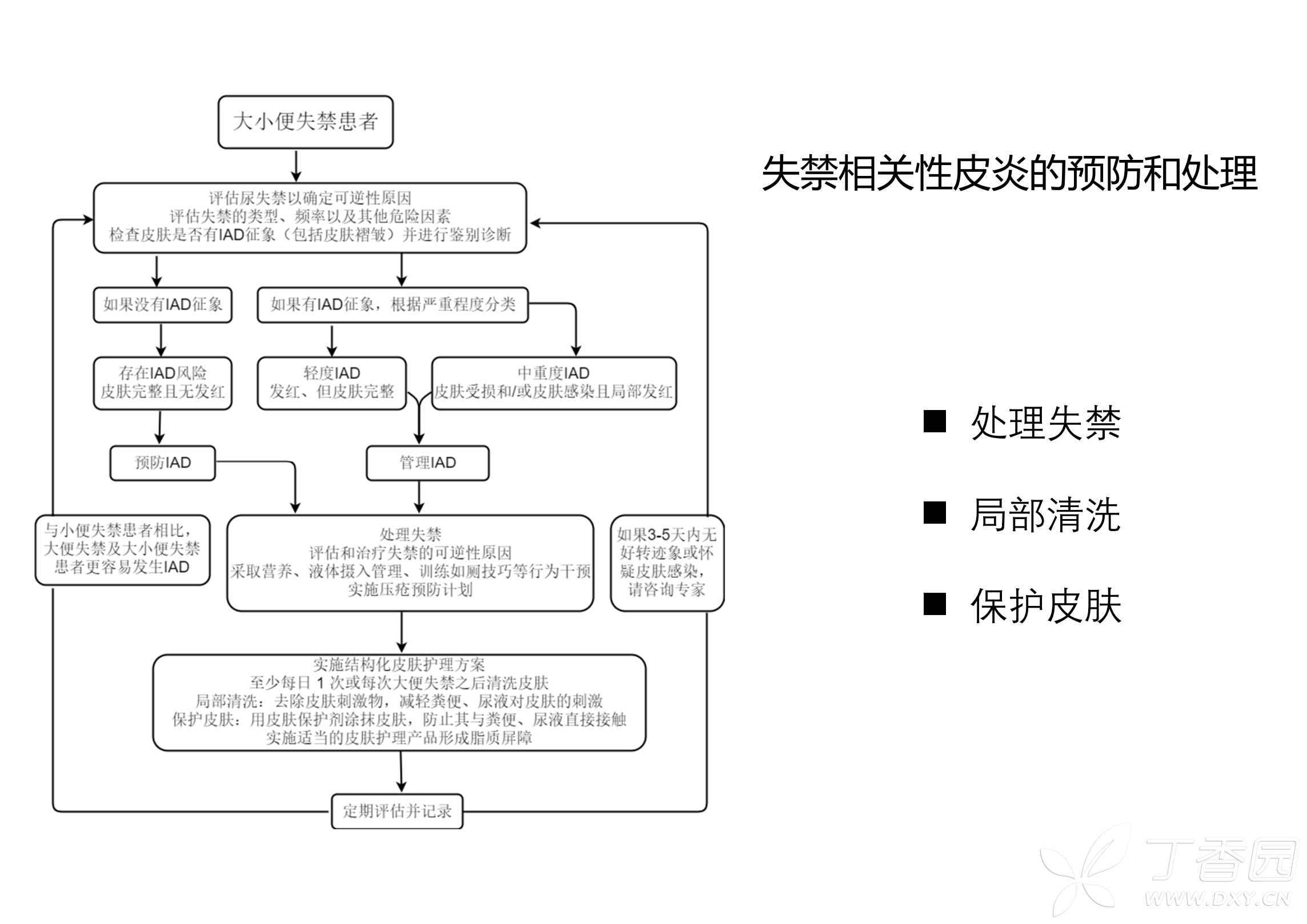 国内外失禁相关性皮炎护理实践专家共识(图形为主,精品课件)
