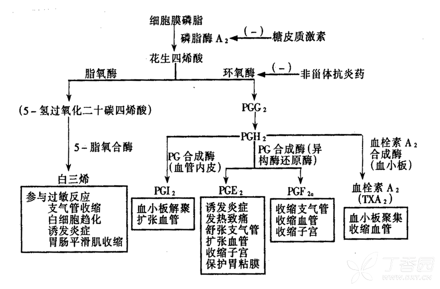 nsaids的药理作用及作用机制 nsaids作用机制主要与其抑制cox的活性