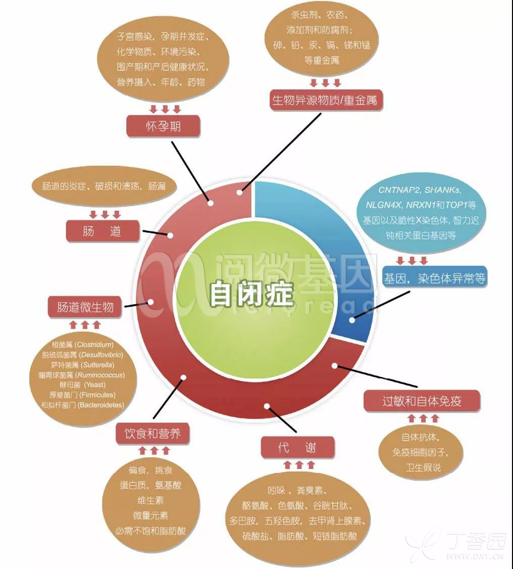 第12个世界自闭症日 | 脆性x综合征筛查,助力自闭症病因排查