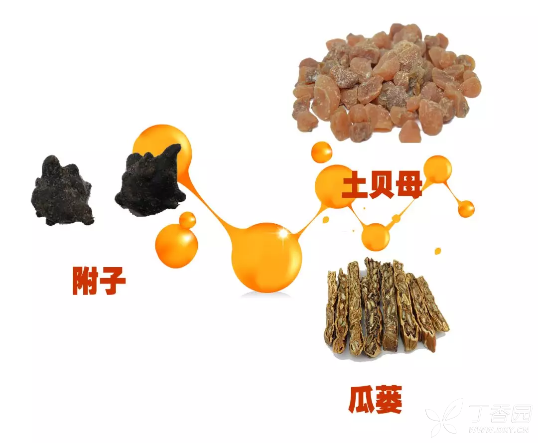 附子与土贝母/瓜蒌,或这些的有效成分相互配伍协同等疾病